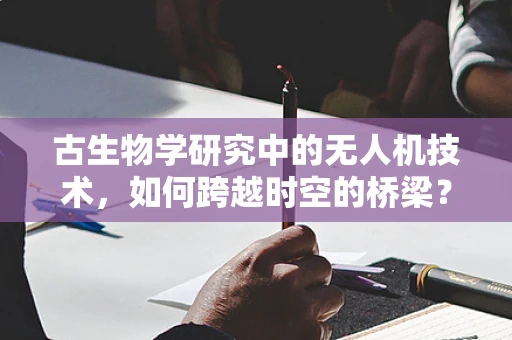古生物学研究中的无人机技术，如何跨越时空的桥梁？