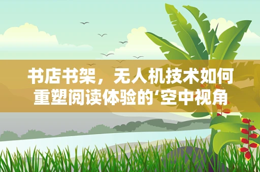 书店书架，无人机技术如何重塑阅读体验的‘空中视角’？