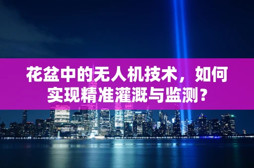 花盆中的无人机技术，如何实现精准灌溉与监测？