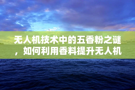 无人机技术中的五香粉之谜，如何利用香料提升无人机自主导航能力？