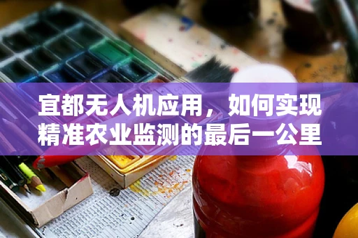 宜都无人机应用，如何实现精准农业监测的最后一公里？