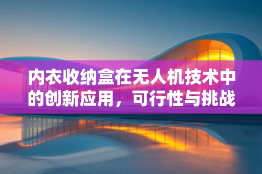 内衣收纳盒在无人机技术中的创新应用，可行性与挑战