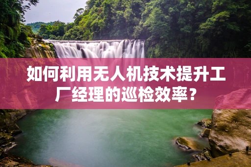 如何利用无人机技术提升工厂经理的巡检效率？