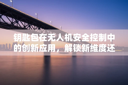 钥匙包在无人机安全控制中的创新应用，解锁新维度还是多余之举？