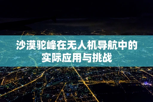 沙漠驼峰在无人机导航中的实际应用与挑战