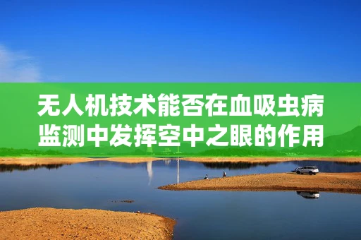 无人机技术能否在血吸虫病监测中发挥空中之眼的作用？