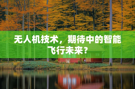 无人机技术，期待中的智能飞行未来？