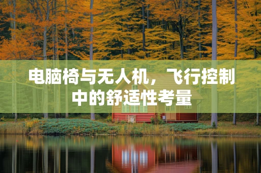 电脑椅与无人机，飞行控制中的舒适性考量