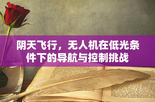 阴天飞行，无人机在低光条件下的导航与控制挑战