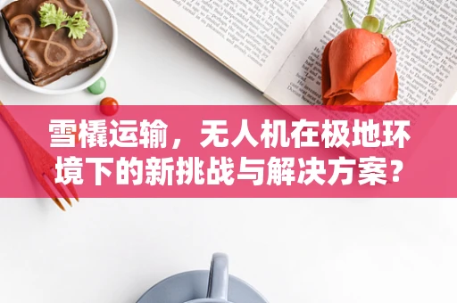 雪橇运输，无人机在极地环境下的新挑战与解决方案？