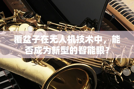 覆盆子在无人机技术中，能否成为新型的智能眼？