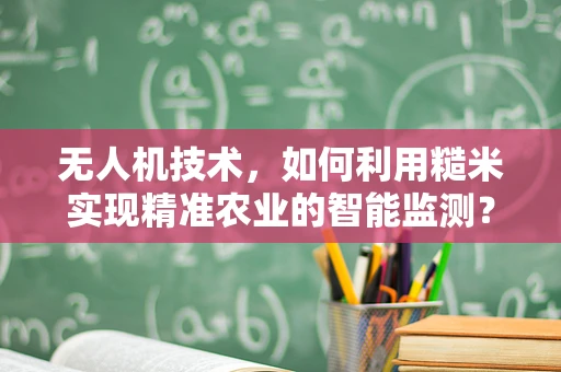 无人机技术，如何利用糙米实现精准农业的智能监测？