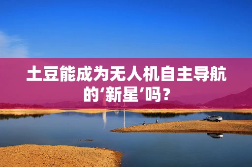 土豆能成为无人机自主导航的‘新星’吗？