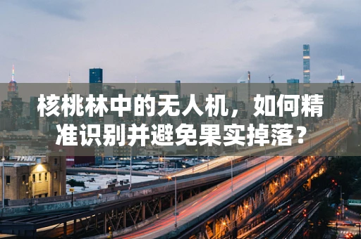 核桃林中的无人机，如何精准识别并避免果实掉落？