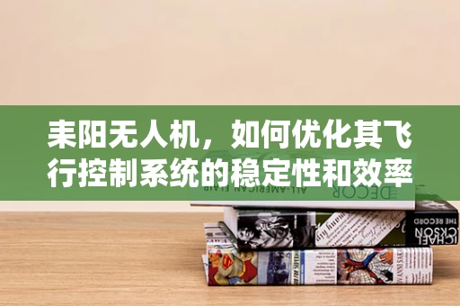 耒阳无人机，如何优化其飞行控制系统的稳定性和效率？