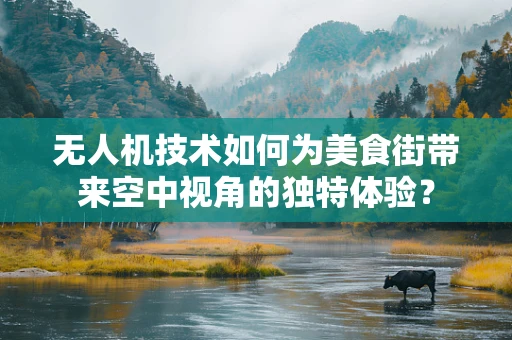 无人机技术如何为美食街带来空中视角的独特体验？