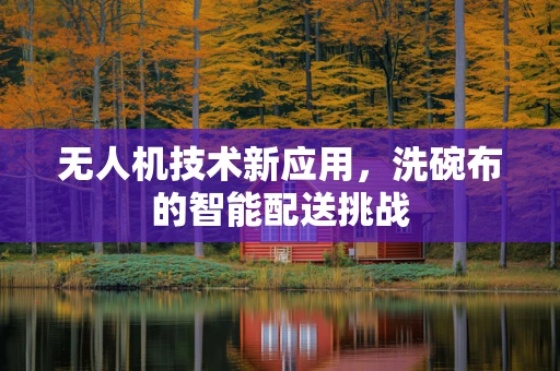 无人机技术新应用，洗碗布的智能配送挑战