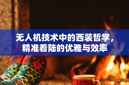 无人机技术中的西装哲学，精准着陆的优雅与效率