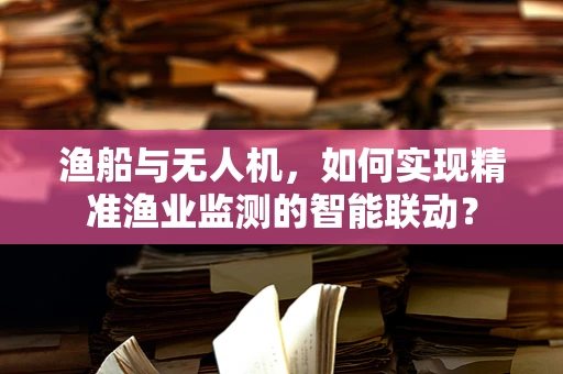渔船与无人机，如何实现精准渔业监测的智能联动？