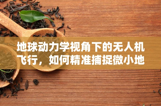 地球动力学视角下的无人机飞行，如何精准捕捉微小地形变化？