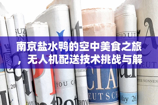 南京盐水鸭的空中美食之旅，无人机配送技术挑战与解决方案