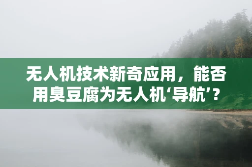 无人机技术新奇应用，能否用臭豆腐为无人机‘导航’？