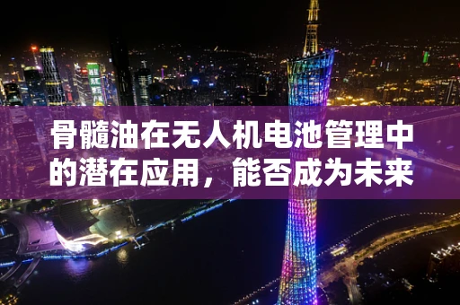 骨髓油在无人机电池管理中的潜在应用，能否成为未来绿色能源的秘密武器？