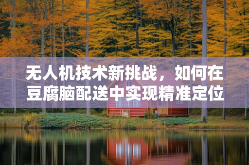 无人机技术新挑战，如何在豆腐脑配送中实现精准定位？