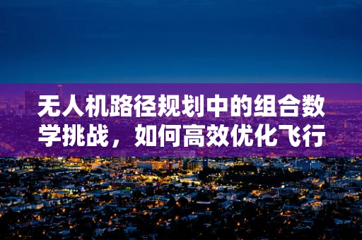 无人机路径规划中的组合数学挑战，如何高效优化飞行路线？