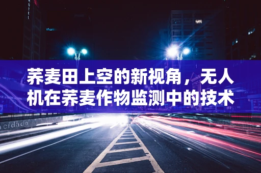 荞麦田上空的新视角，无人机在荞麦作物监测中的技术挑战与解决方案