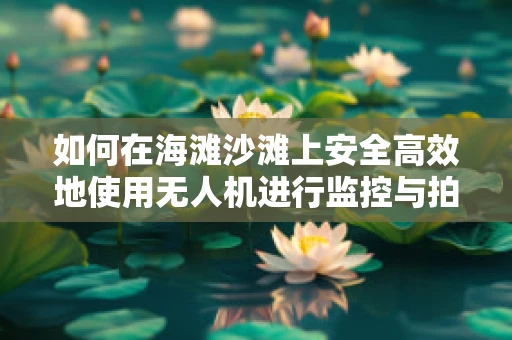 如何在海滩沙滩上安全高效地使用无人机进行监控与拍摄？