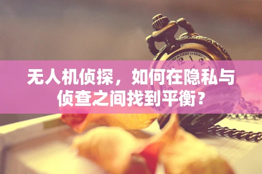 无人机侦探，如何在隐私与侦查之间找到平衡？