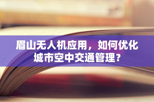 眉山无人机应用，如何优化城市空中交通管理？
