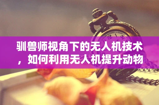 驯兽师视角下的无人机技术，如何利用无人机提升动物训练效率？