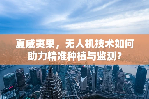 夏威夷果，无人机技术如何助力精准种植与监测？