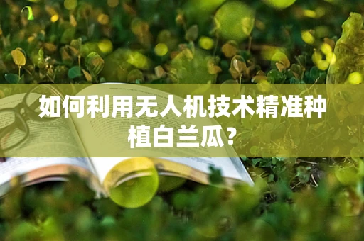 如何利用无人机技术精准种植白兰瓜？