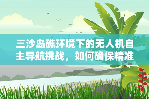 三沙岛礁环境下的无人机自主导航挑战，如何确保精准定位与避障？