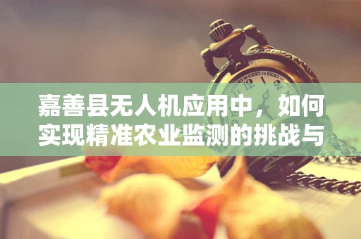 嘉善县无人机应用中，如何实现精准农业监测的挑战与对策？
