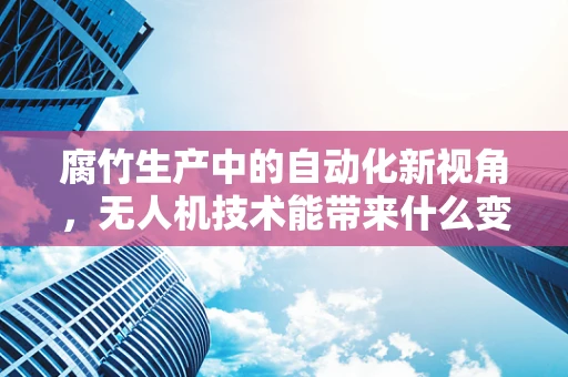 腐竹生产中的自动化新视角，无人机技术能带来什么变革？