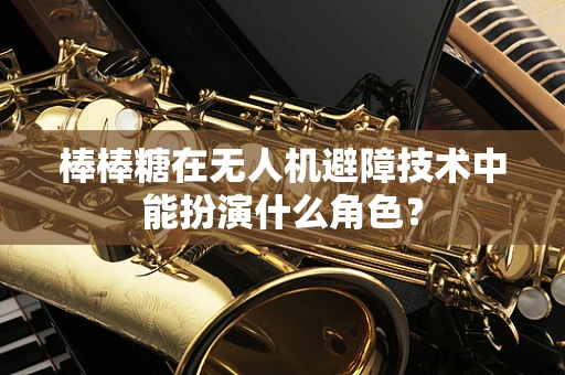 棒棒糖在无人机避障技术中能扮演什么角色？