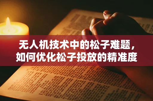无人机技术中的松子难题，如何优化松子投放的精准度？