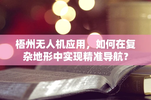 梧州无人机应用，如何在复杂地形中实现精准导航？