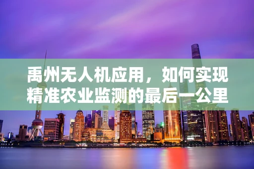 禹州无人机应用，如何实现精准农业监测的最后一公里？