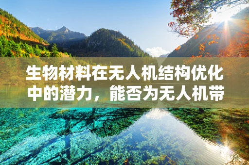 生物材料在无人机结构优化中的潜力，能否为无人机带来革命性变革？