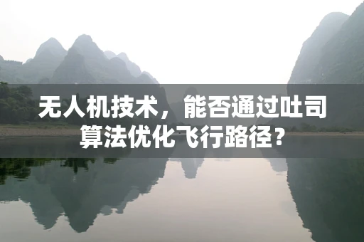 无人机技术，能否通过吐司算法优化飞行路径？