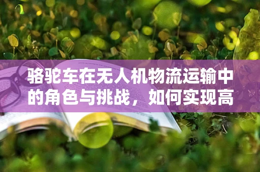 骆驼车在无人机物流运输中的角色与挑战，如何实现高效稳定的地面支持？