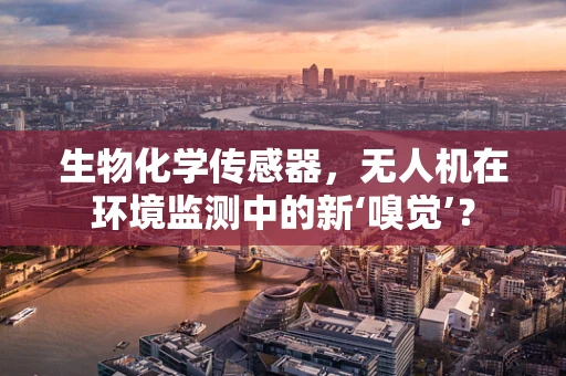 生物化学传感器，无人机在环境监测中的新‘嗅觉’？