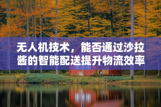 无人机技术，能否通过沙拉酱的智能配送提升物流效率？