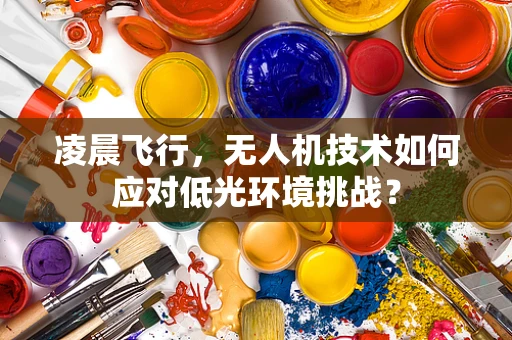 凌晨飞行，无人机技术如何应对低光环境挑战？