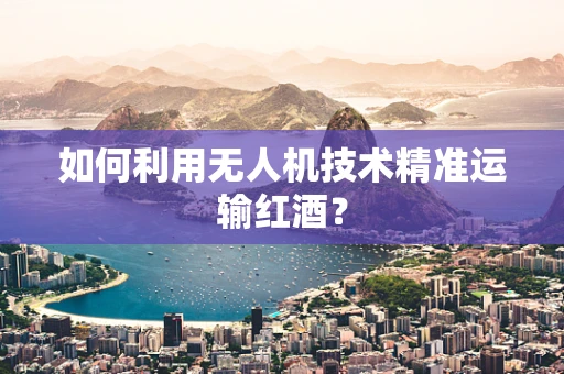 如何利用无人机技术精准运输红酒？